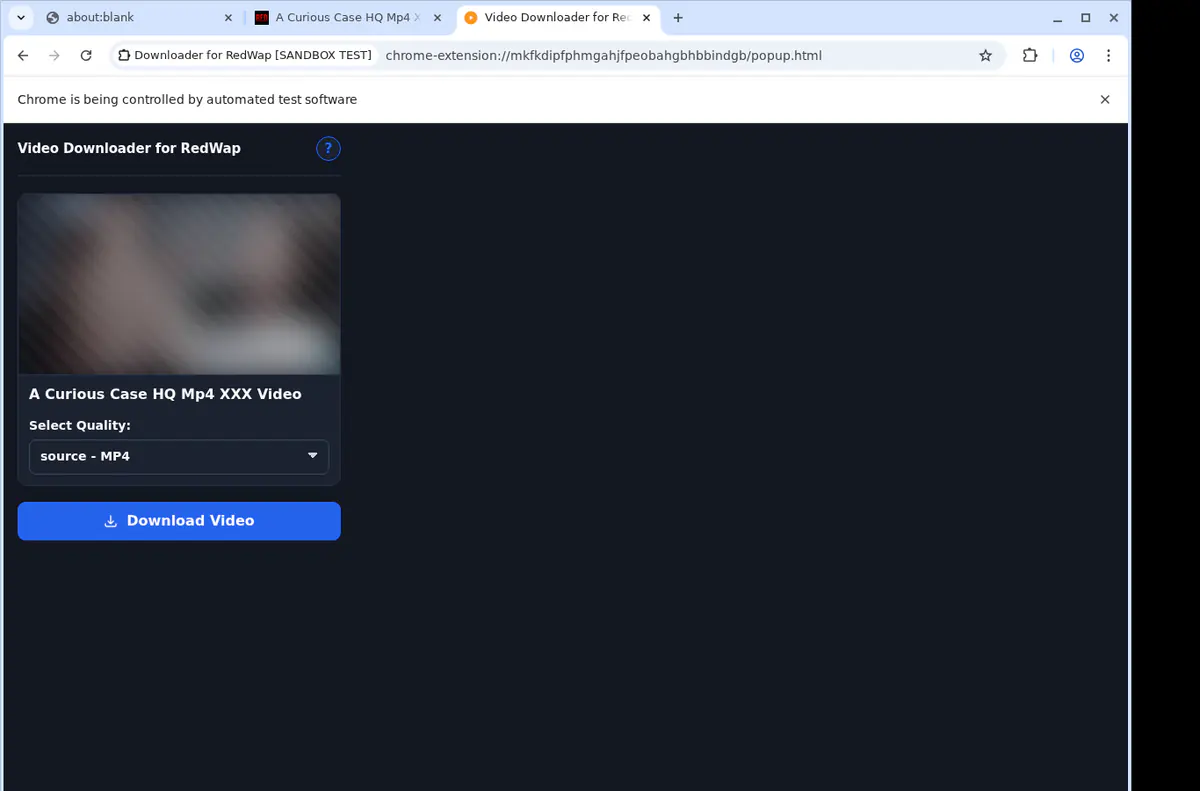 Redwap Video Downloader screenshot 4